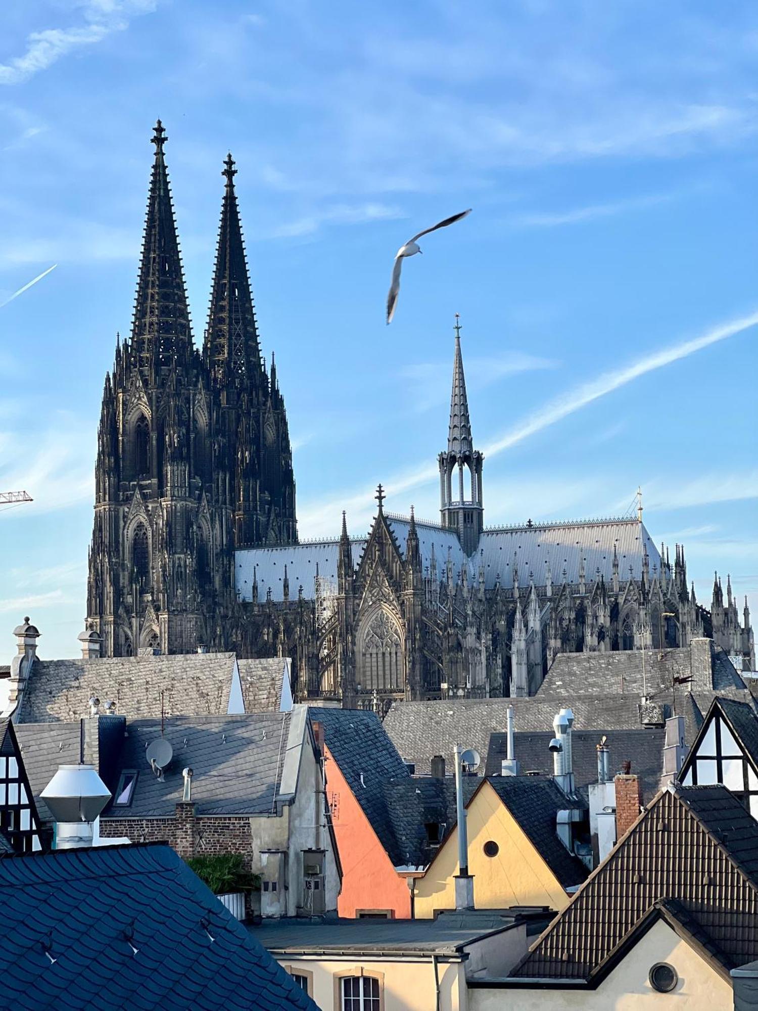 Altstadthotel Hayk Am Rhein Kolonia Zewnętrze zdjęcie